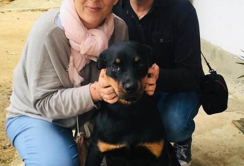 Pensiune Adisham Village Home