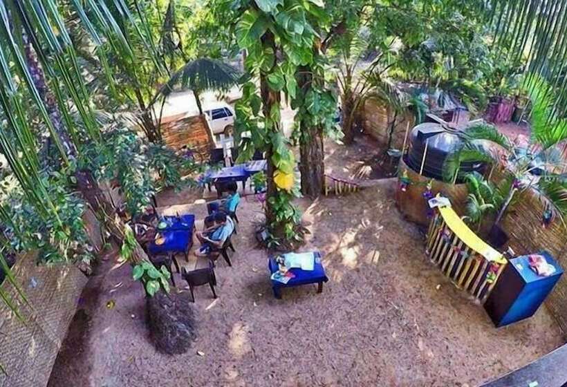 פנסיון The Funky Monkey