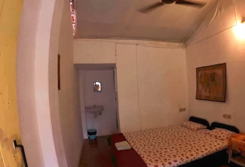 פנסיון The Funky Monkey