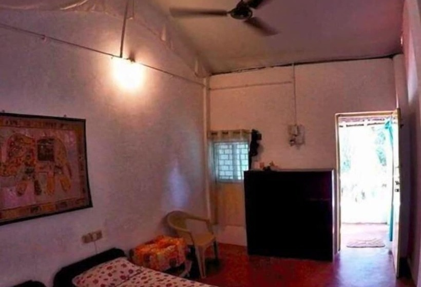 פנסיון The Funky Monkey