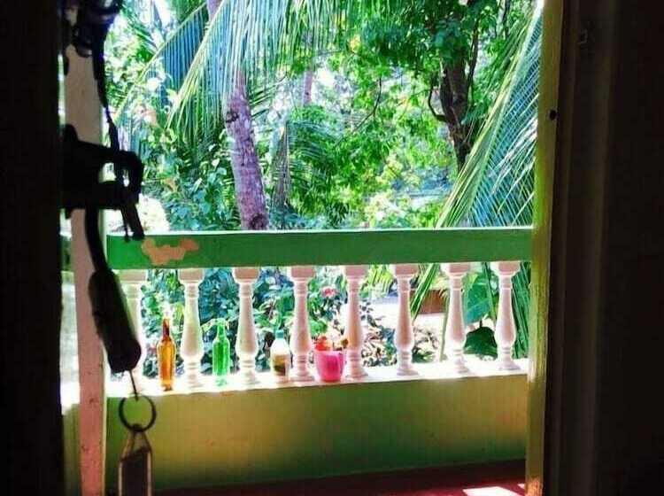 פנסיון The Funky Monkey