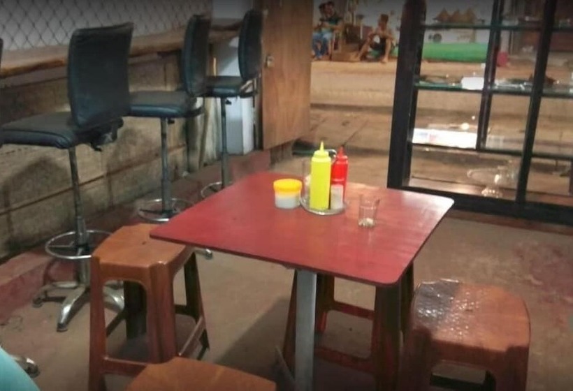 פנסיון The Funky Monkey