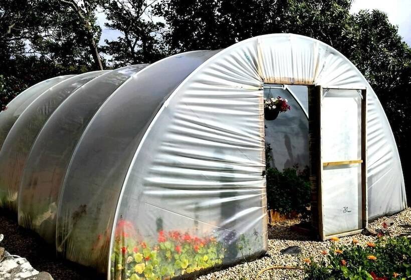 酒店 Castle Murray House Boutique B&b