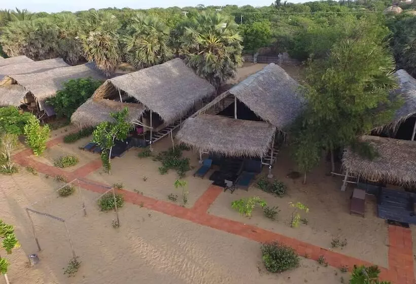 ホテル The Beach Camp Yala