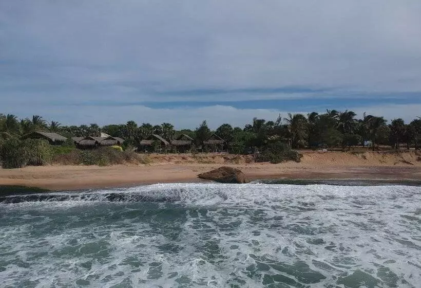 ホテル The Beach Camp Yala
