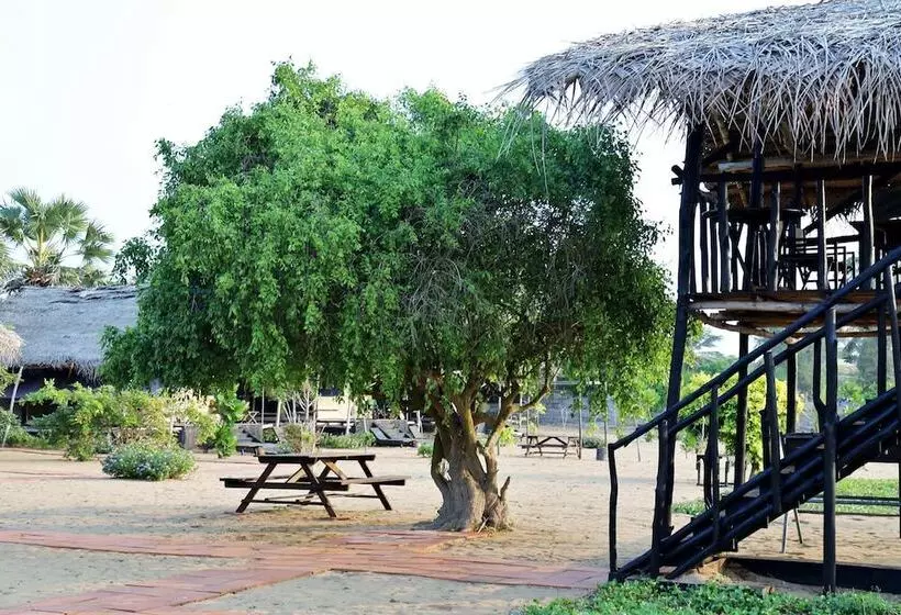 ホテル The Beach Camp Yala