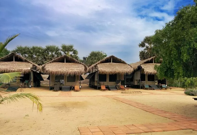 ホテル The Beach Camp Yala