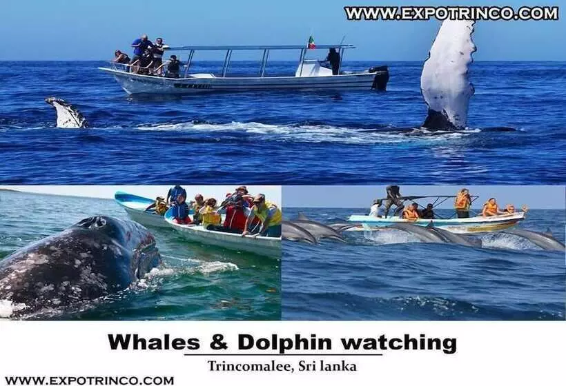 Hotelli Thirumalai Park