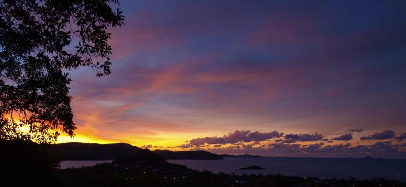 酒店 Whitsundays Rainforest Retreat