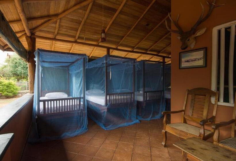 Отель Yala Caravan Village