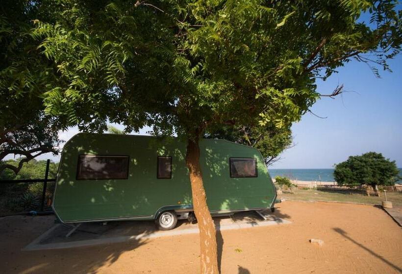 Отель Yala Caravan Village