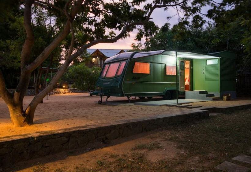 Отель Yala Caravan Village