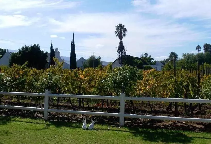 Majatalo The Vineyard Country House