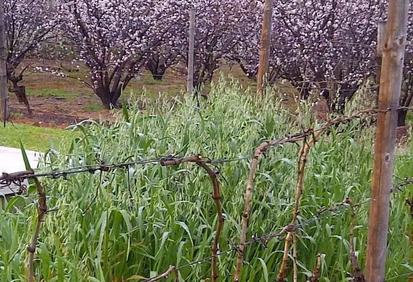 Majatalo The Vineyard Country House