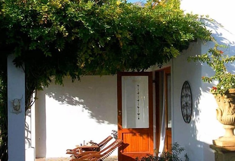 بنسيون The Vineyard Country House