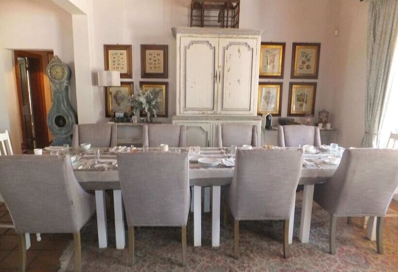 بنسيون The Vineyard Country House