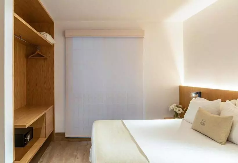 Reforma Guest House