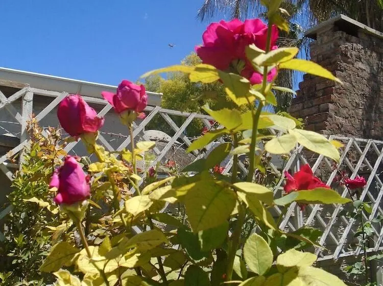 Aamiaismajoitus (B&B) Albert House Guesthouse