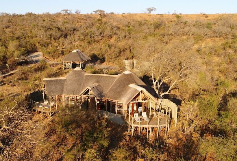 ホテル Nambiti Plains Private Game Lodge