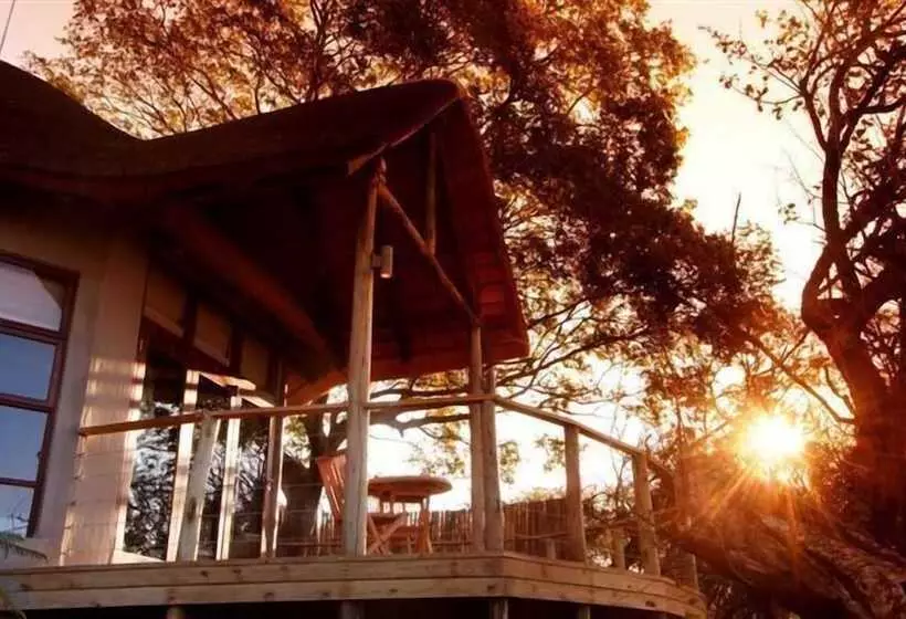 Hotelli Nambiti Plains Private Game Lodge