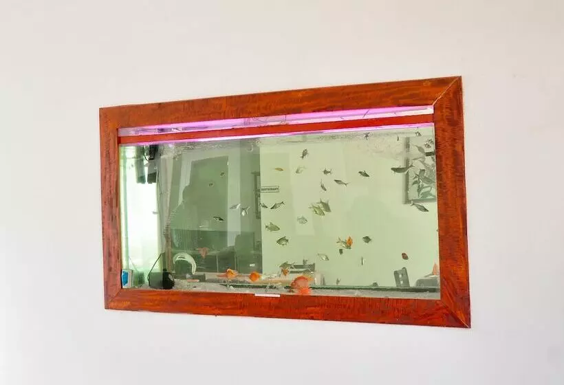 Hotelli New Star Light