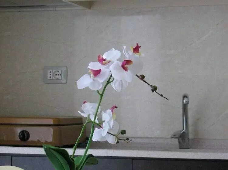 Hotel Vila Tufi