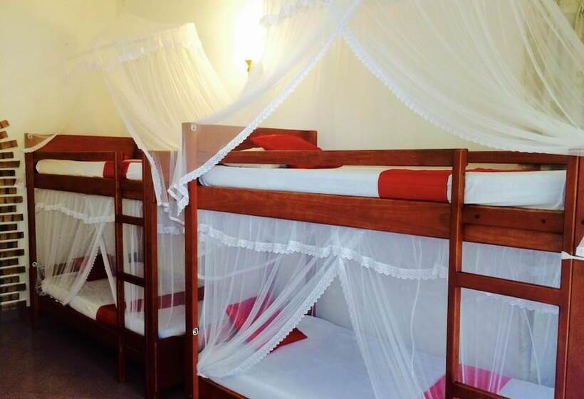 ユースホステル Lavinia Villa