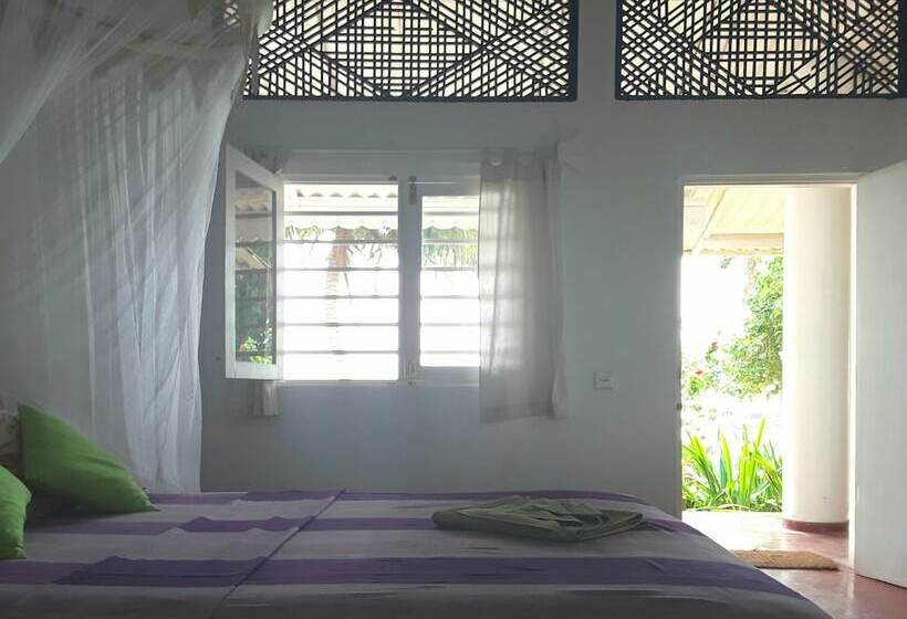 Palm Villa Mirissa Hotel&spa