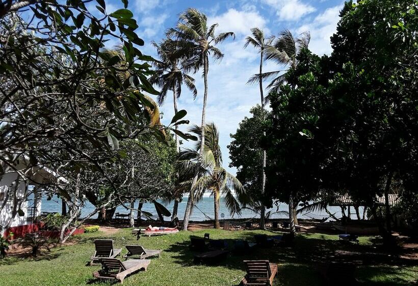 Palm Villa Mirissa Hotel&spa