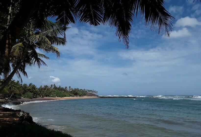 Palm Villa Mirissa Hotel&spa