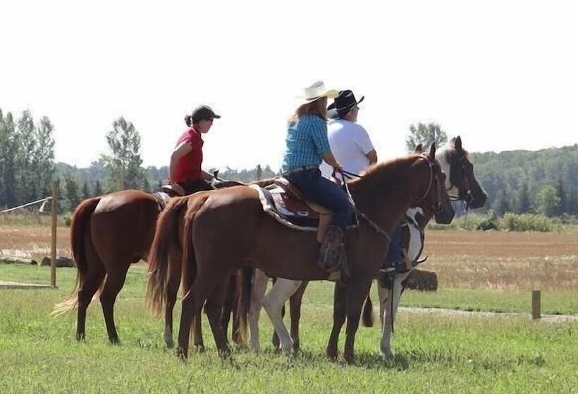 Отель Wilderness Tours Rafting Resort