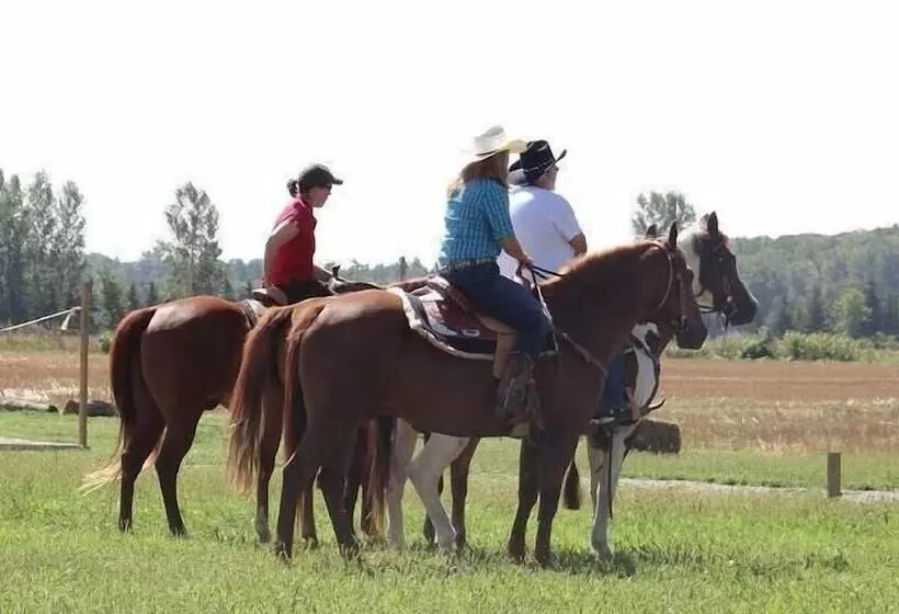 Hotelli Wilderness Tours Rafting Resort