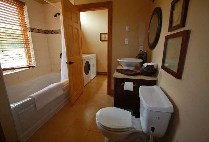 Отель Wilderness Tours Rafting Resort