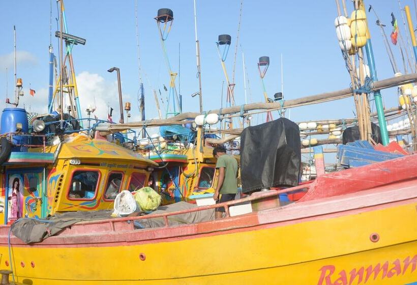 Palm Villa Mirissa Hotel&spa