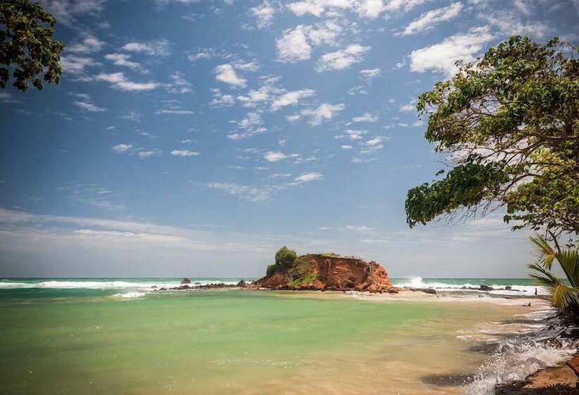 Palm Villa Mirissa Hotel&spa