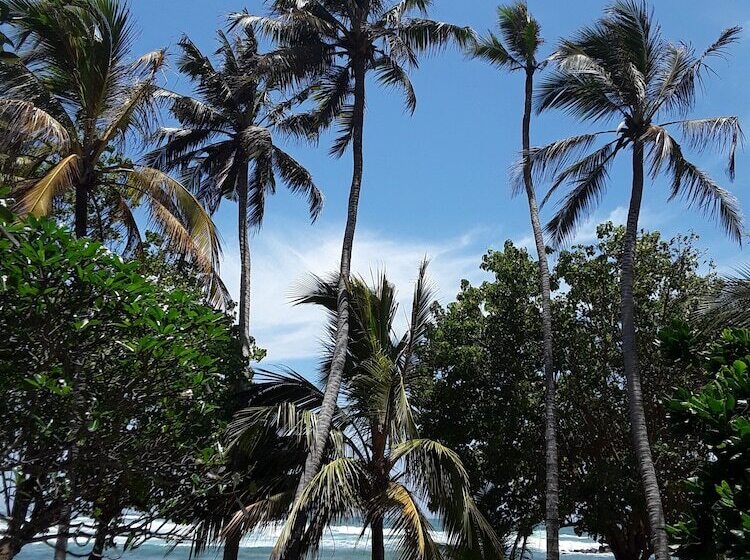 Palm Villa Mirissa Hotel&spa