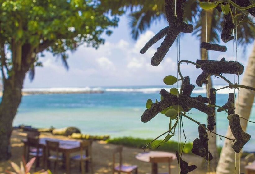 Palm Villa Mirissa Hotel&spa