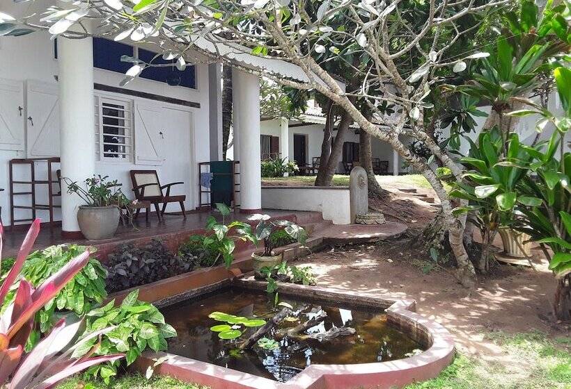 Palm Villa Mirissa Hotel&spa