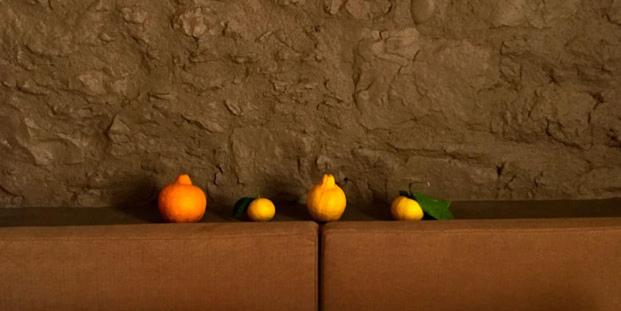 Pansiyon Palais La Nasse