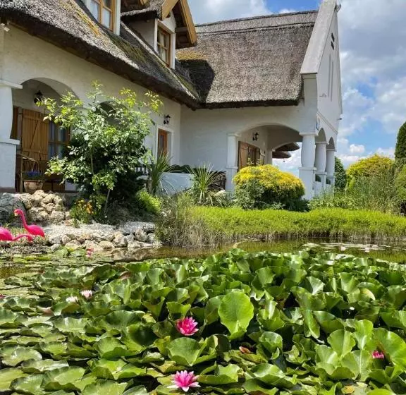 Rigótanya Relax & Wellness Panzió Bükfürdő