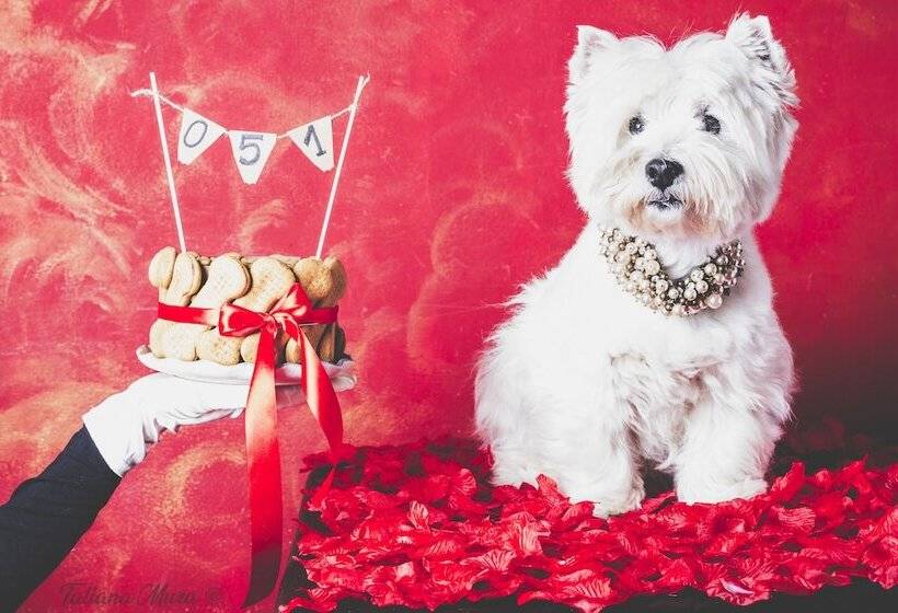 مبيت وإفطار 051 Room & Breakfast