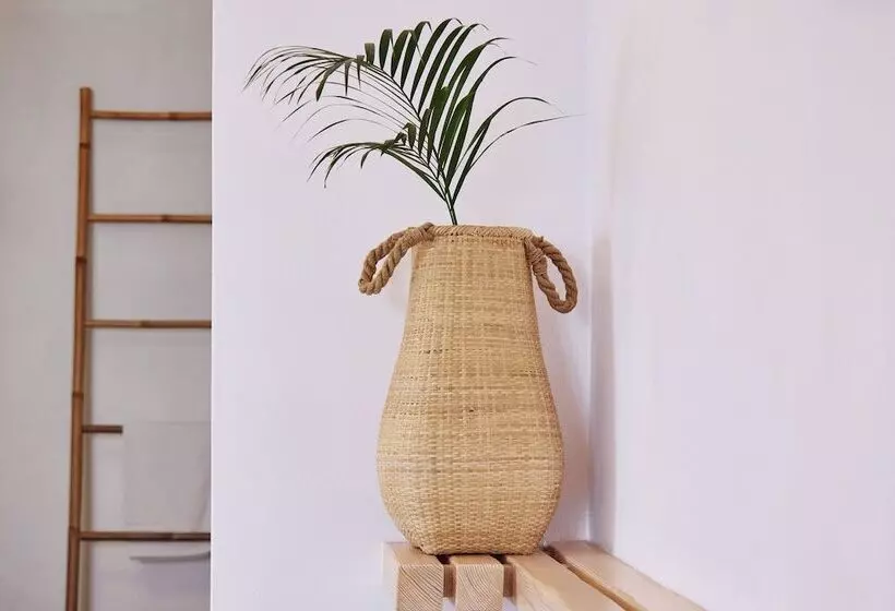 ホテル Chrysalis Boutique   Adults Only