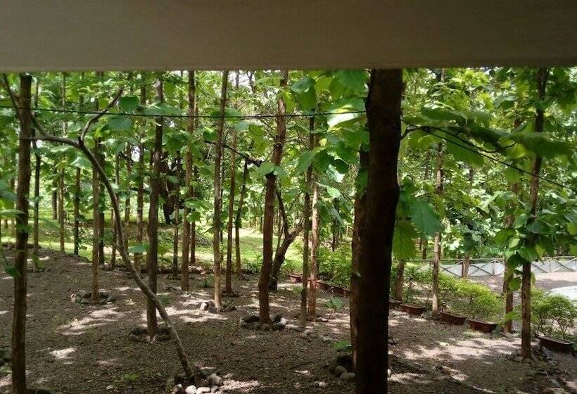 ホテル Forest Village Holiday Homes