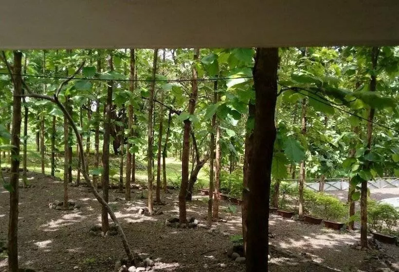 Hotelli Forest Village Holiday Homes