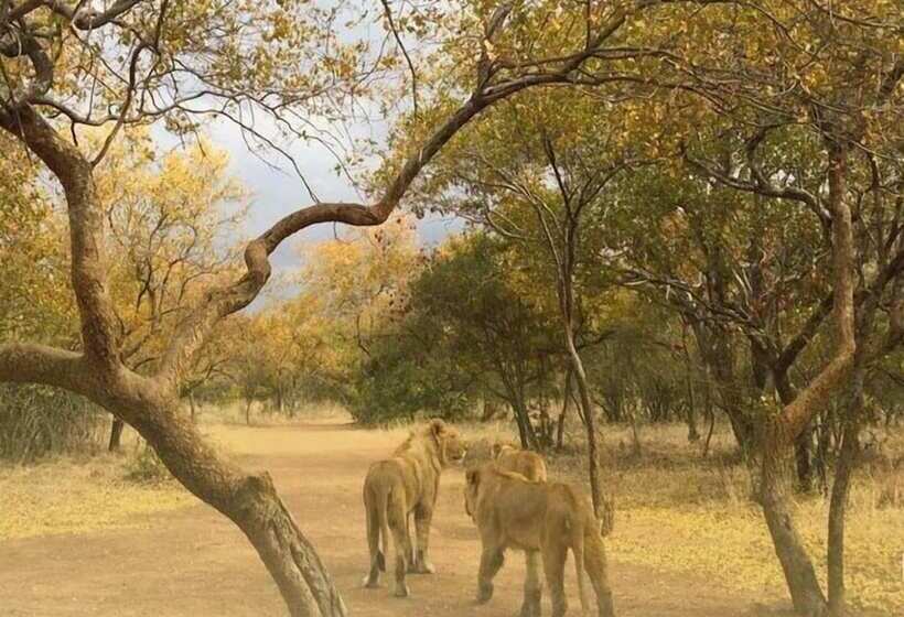 בית מלון כפרי Ukutula Lodge & Game Reserve