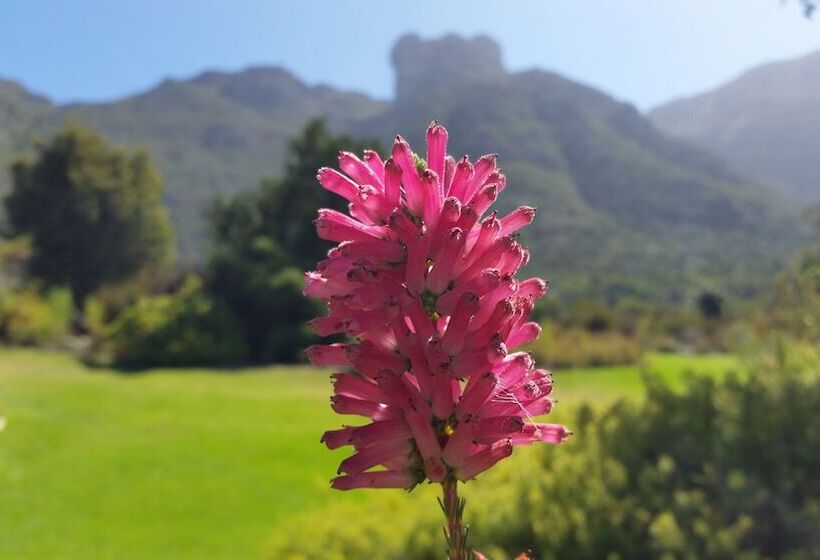 Hout Bay Beach Cottage