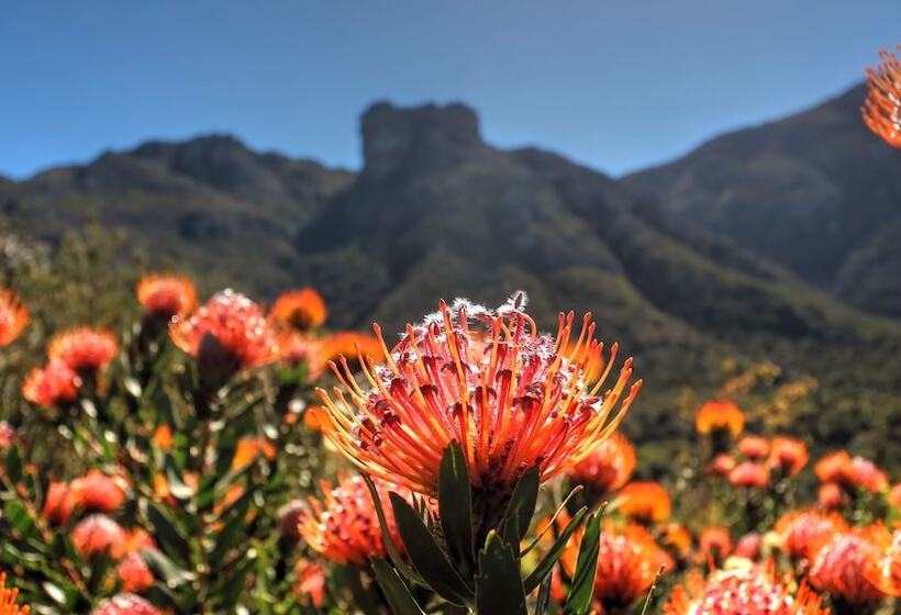 Hout Bay Beach Cottage