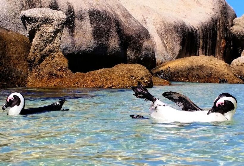 Hout Bay Beach Cottage