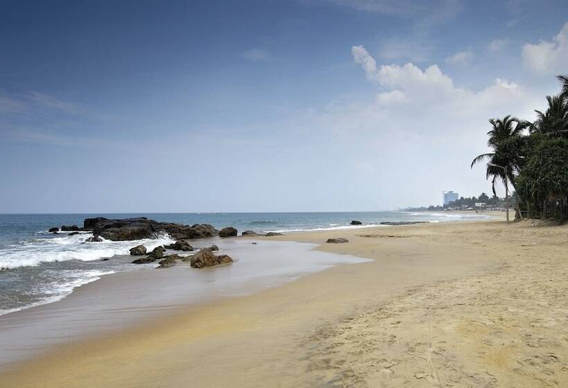 ペンション The Pallet House