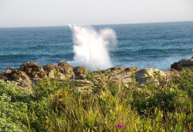 فندق صغير Seals Backpackers